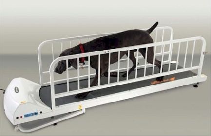 PetRun PR725 Dog Treadmill PetRun PR725 Dog Treadmill